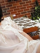 Gorgeous Chubby Chick In Blue Lace Posing
